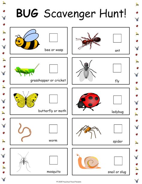 bug scavenger hunt free printable